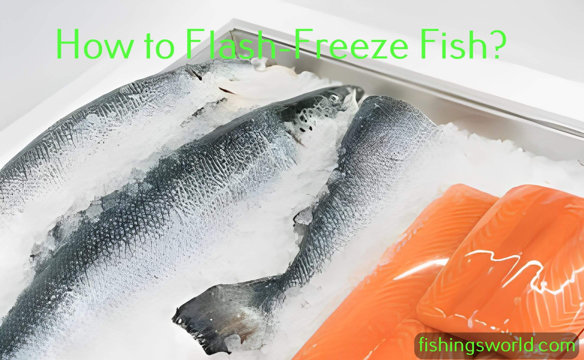How to Flash-Freeze Fish: A Step-by-Step Guide