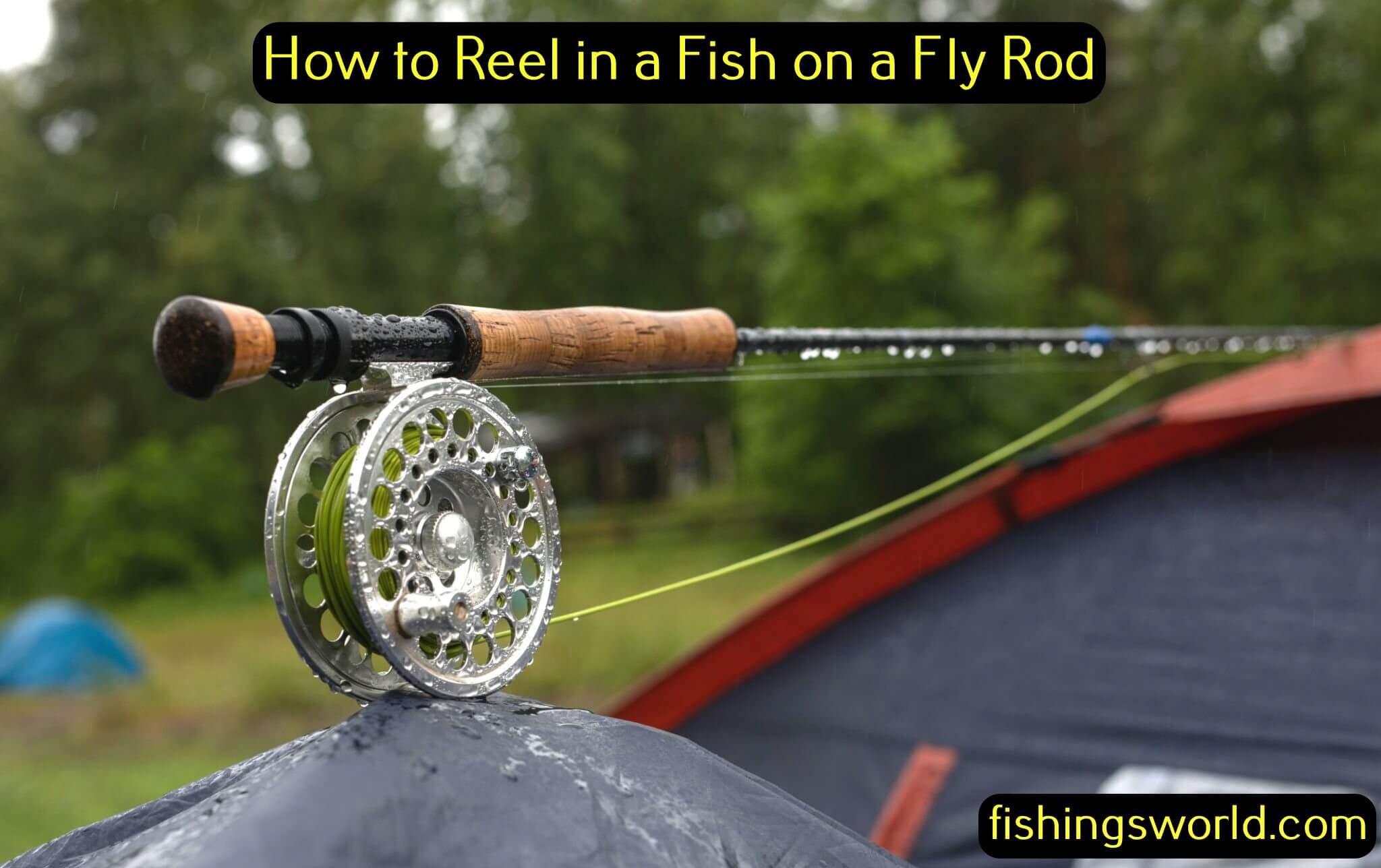 Reel in a Fish on a Fly Rod