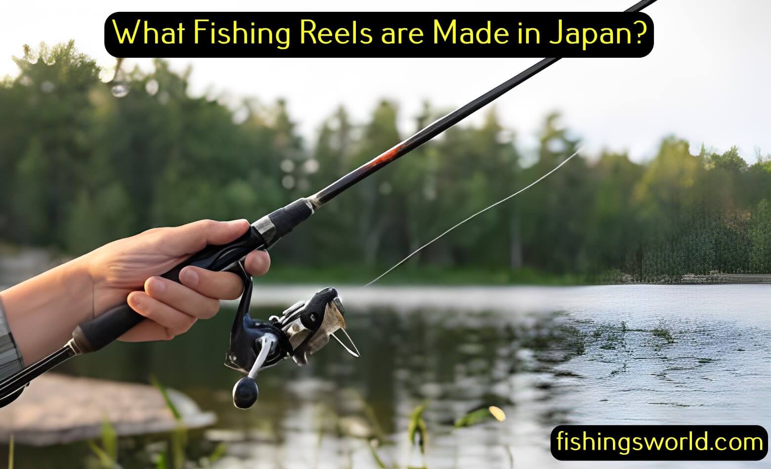 What Fishing Reels are Made in Japan
